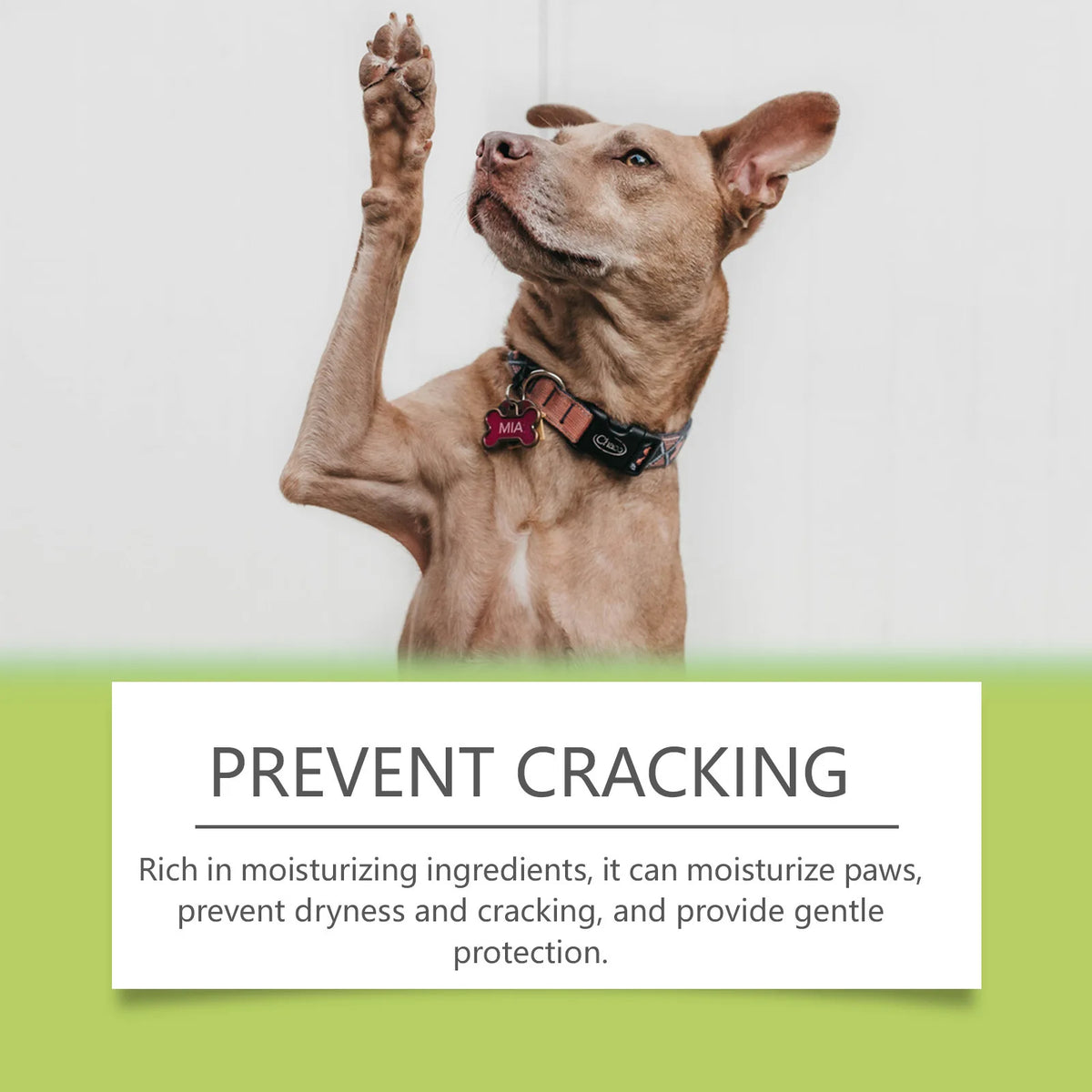 PawPure Foaming Cleanser