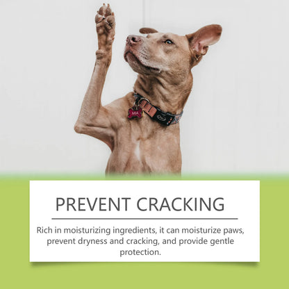 PawPure Foaming Cleanser